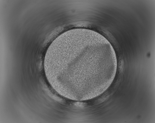 X0000116770261201001071222