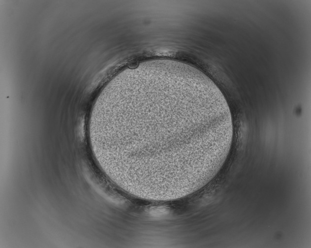 X0000116770262201001071222