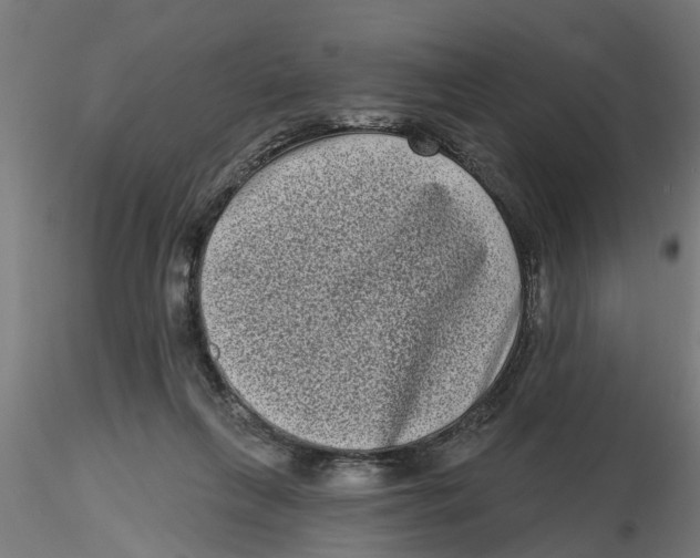 X0000116770263201001071222