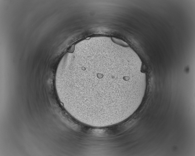 X0000116770265201001071222