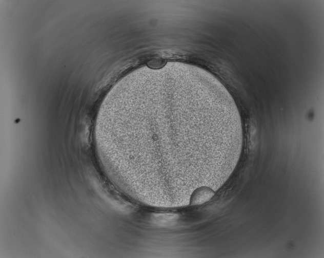 X0000116770266201001071222