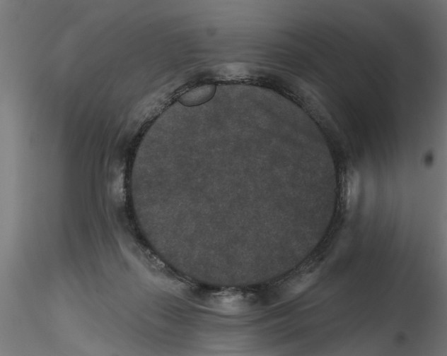 X0000116770267201001071222