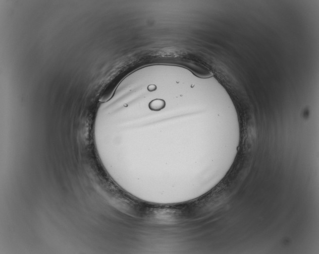 X0000116770268201001071222