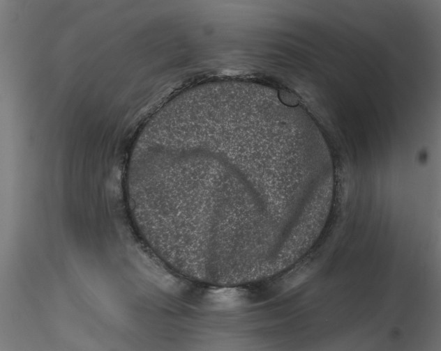 X0000116770269201001071222