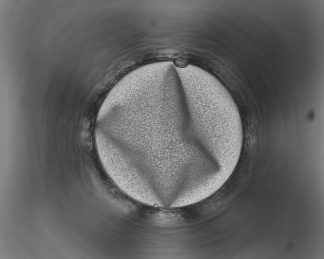 X0000116770270201001071222