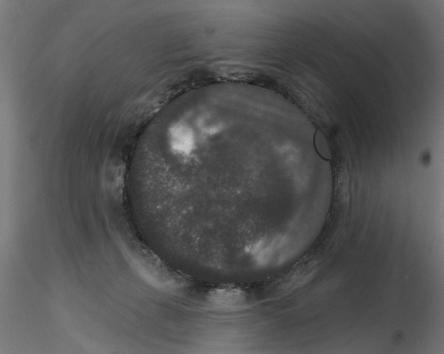 X0000116770271201001071222