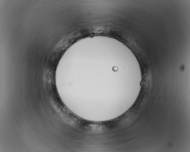 X0000116770272201001071222