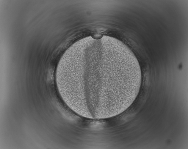 X0000116770274201001071222