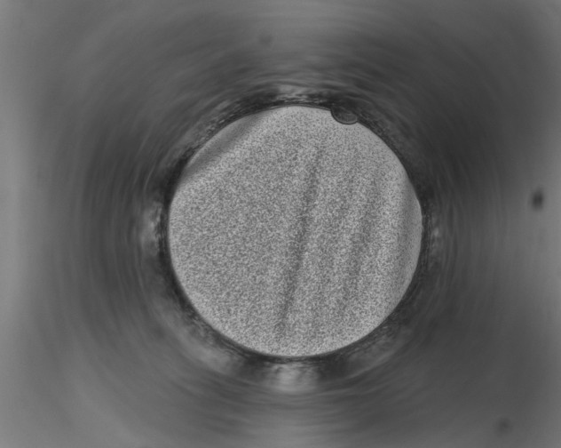 X0000116770275201001071222