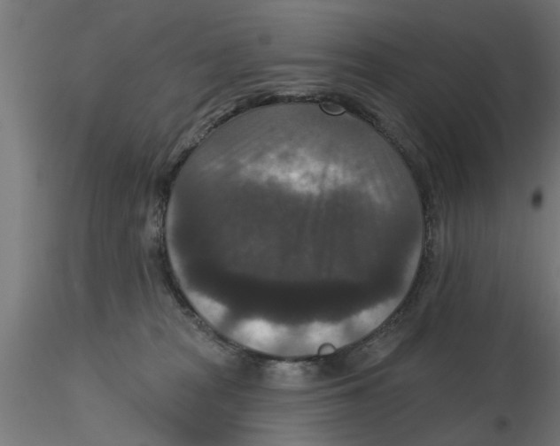 X0000116770277201001071222