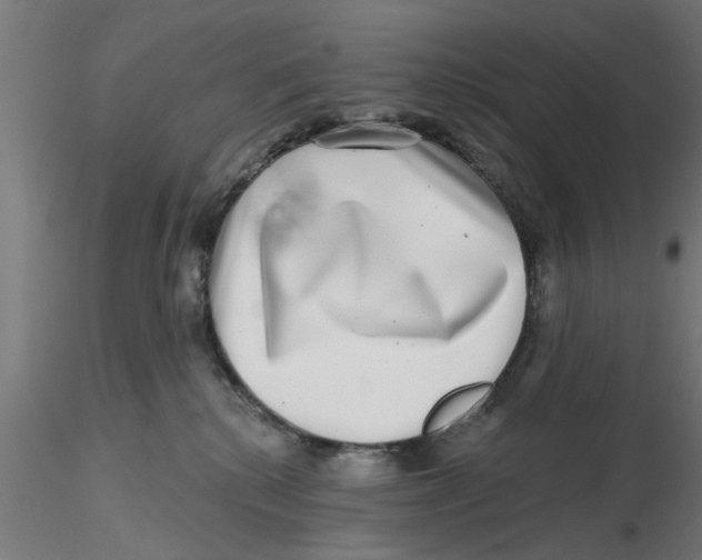 X0000116770280201001071222