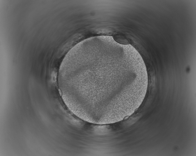 X0000116770281201001071222