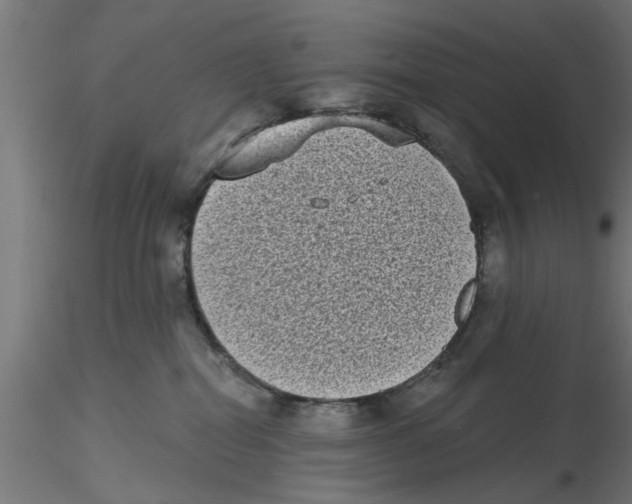 X0000116770282201001071222