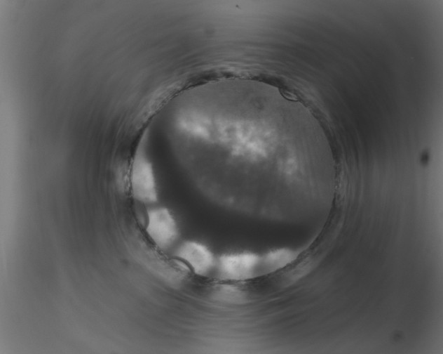 X0000116770285201001071222