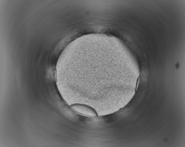 X0000116770286201001071222