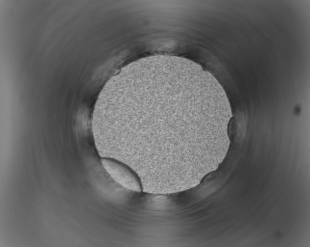 X0000116770287201001071222