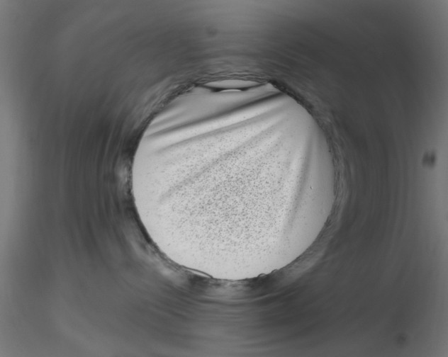 X0000116770288201001071222