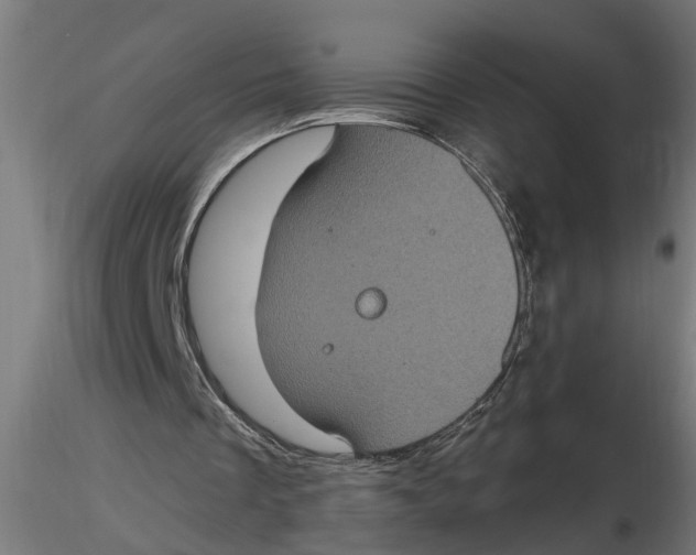 X0000116770289201001071222