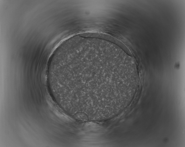 X0000116770290201001071222