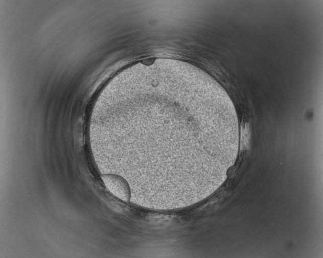 X0000116770291201001071222