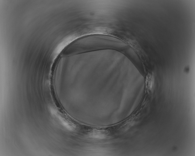 X0000116770292201001071222