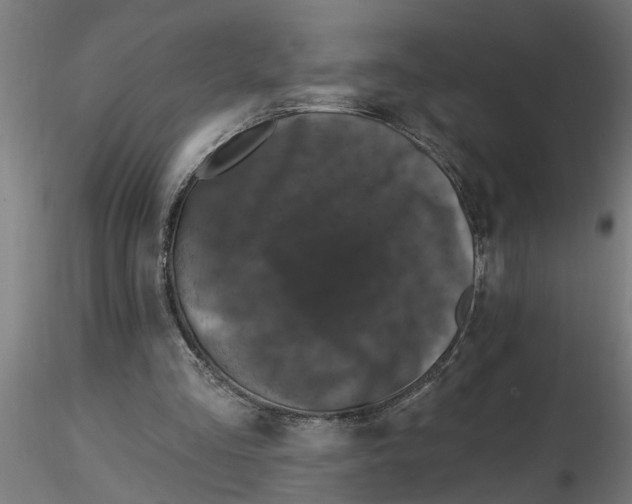 X0000116770293201001071222