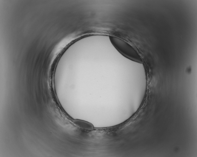 X0000116770294201001071222