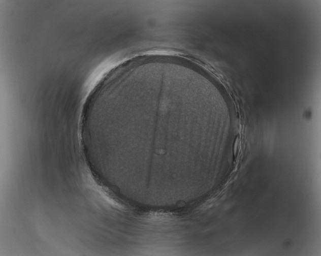 X0000116770296201001071222