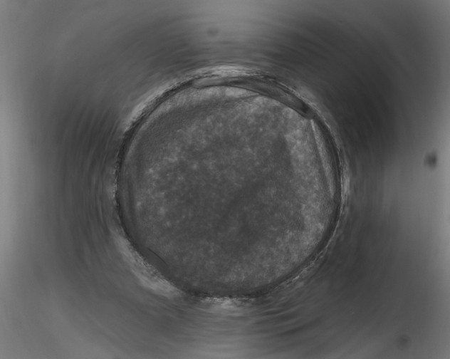 X0000116770297201001071222