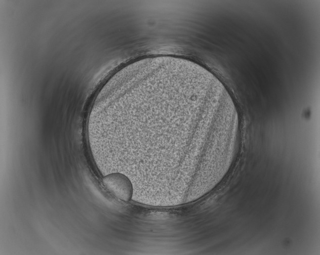 X0000116770298201001071222