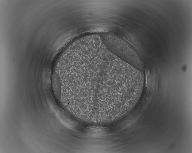 X0000116770300201001071222