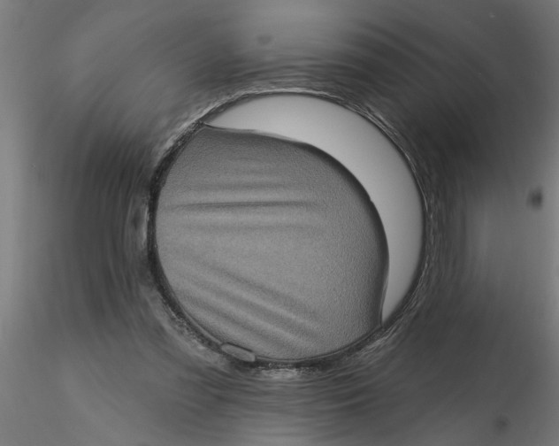 X0000116770301201001071222