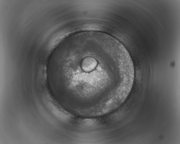 X0000116770302201001071222