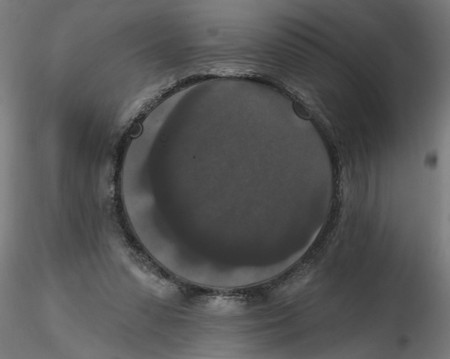 X0000116770303201001071222