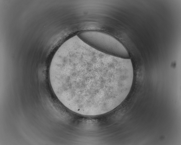 X0000116770304201001071222