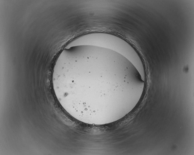 X0000116770305201001071222