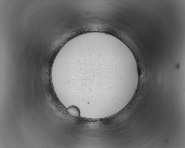 X0000116770306201001071222