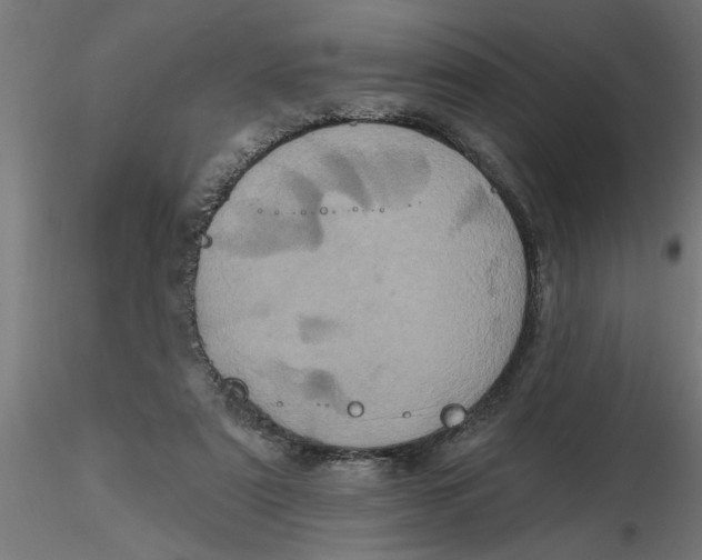 X0000116770307201001071222