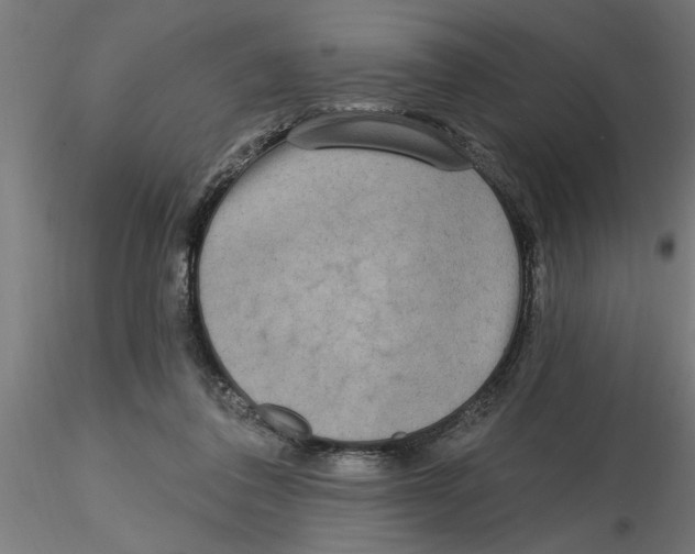 X0000116770308201001071222