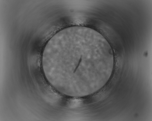 X0000116770313201001071221