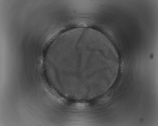 X0000116770314201001071221