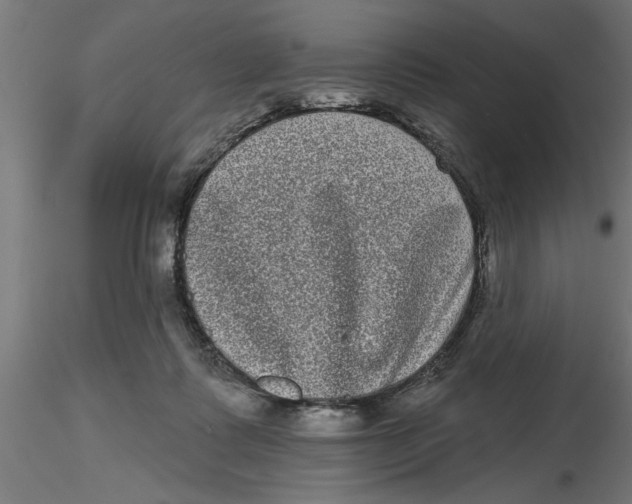 X0000116770315201001071221