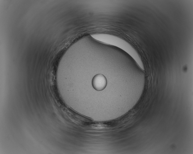 X0000116770316201001071221