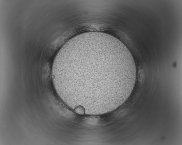 X0000116770318201001071221