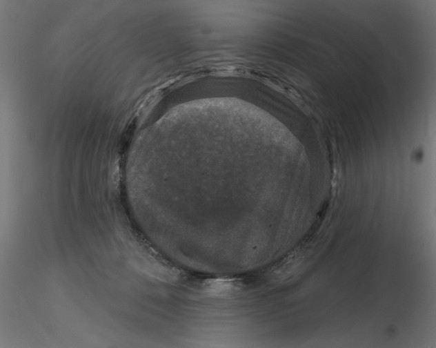 X0000116770320201001071221