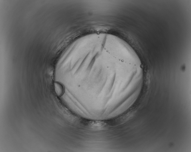 X0000116770321201001071221