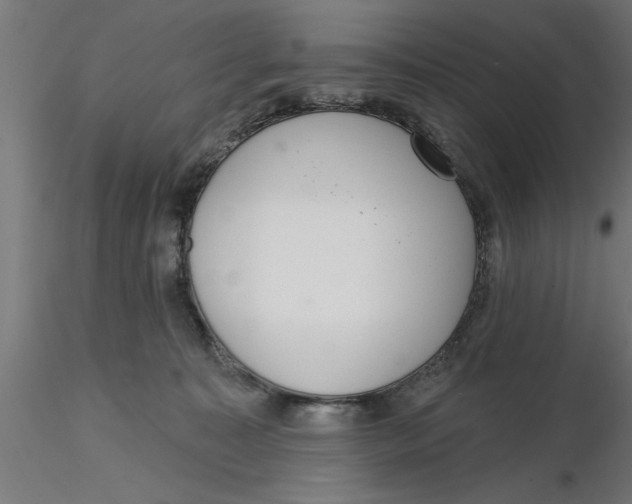 X0000116770323201001071221