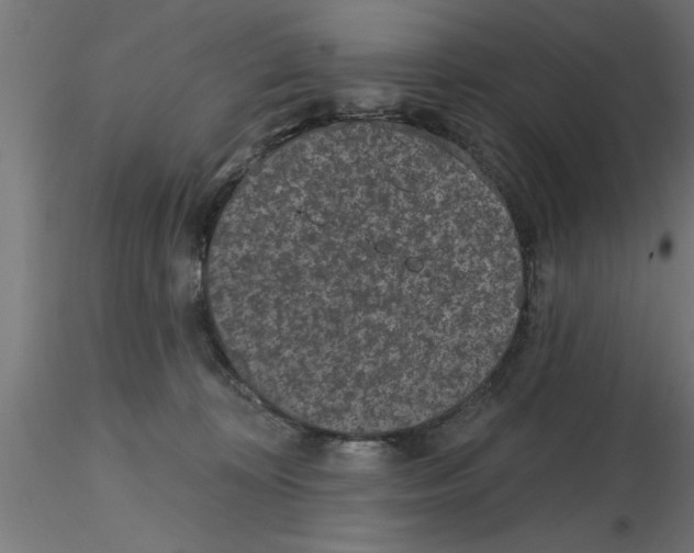 X0000116770324201001071221