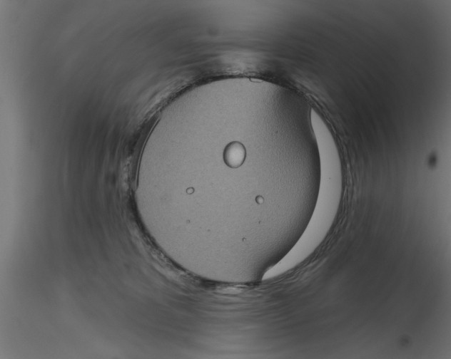 X0000116770325201001071221