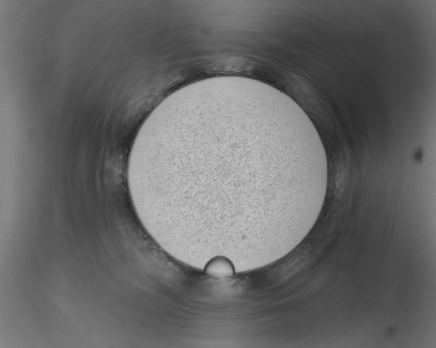 X0000116770326201001071221